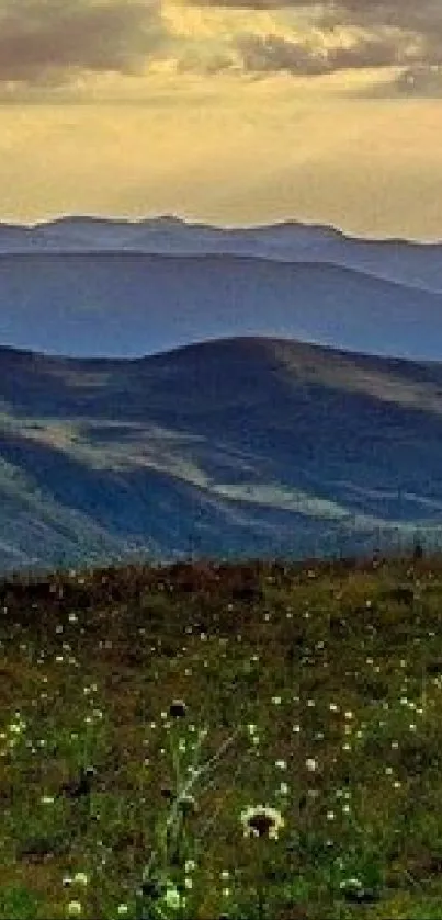 Serene view of mountains and wildflowers at sunset.