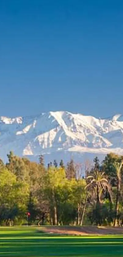 Stunning mountain landscape with greenery and clear sky.