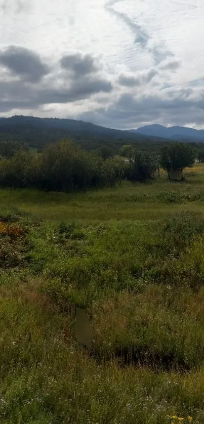 Lush green fields under cloudy mountain sky.