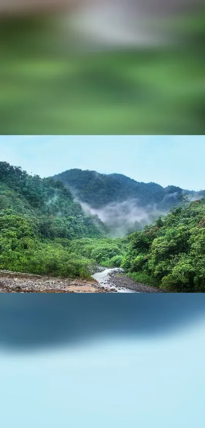 Serene green mountain landscape wallpaper with misty peaks and lush forests.