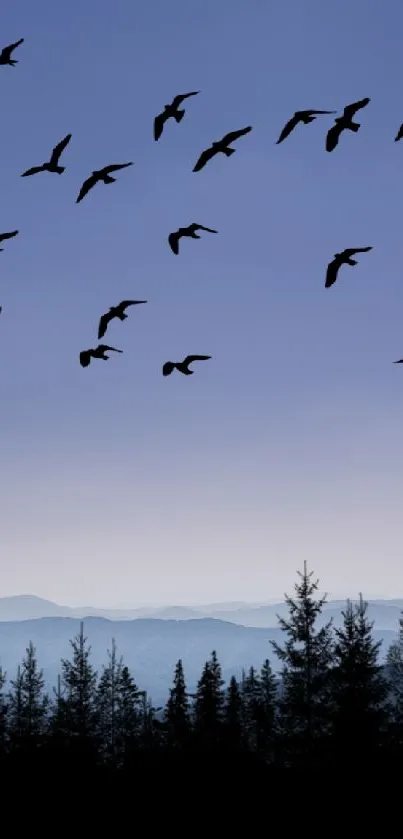 Serene mountain landscape with birds flying above a forest silhouette.