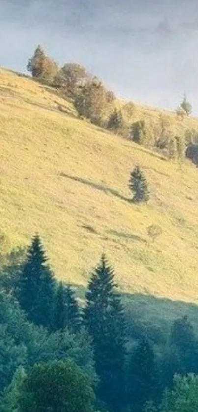 Serene green mountain landscape with mist.