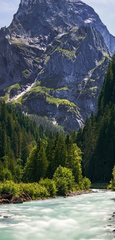 Scenic mountain landscape with green forest and river flowing.