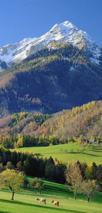 Scenic mountain landscape with snow-capped peak and lush green fields.