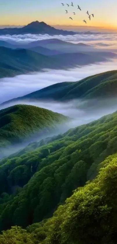 Lush green mountains at sunrise, with mist and birds flying.