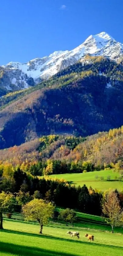 Serene landscape with mountains, green valleys, and clear sky.