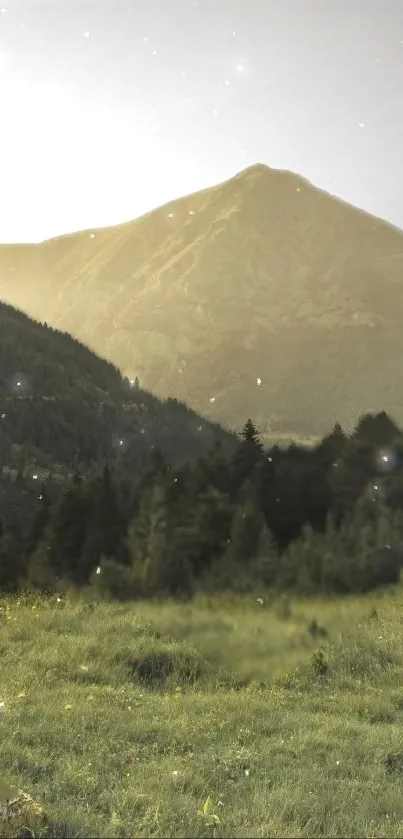 Serene mountain view with greenery and stars.