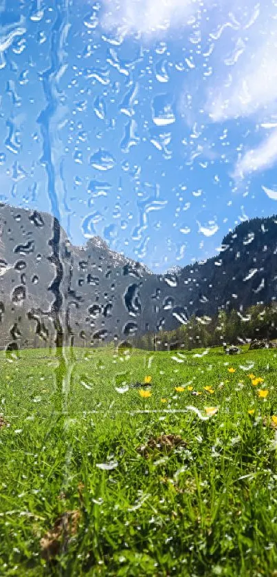 A tranquil mountain meadow under a bright blue sky.