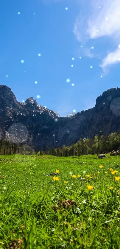 Lush meadow with mountains under a clear blue sky.