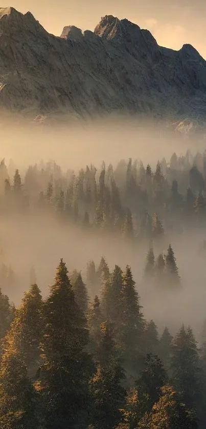 Misty mountain landscape at sunrise with lush forest.