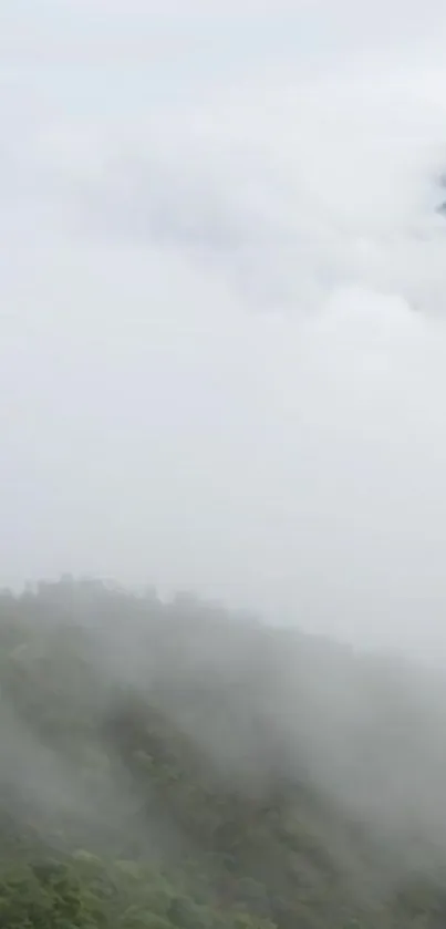 Mist-covered green hills under cloudy sky, serene view.