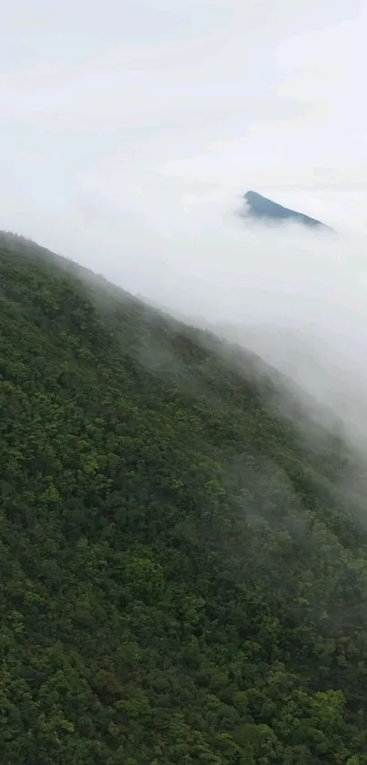 Serene mountain landscape with mist and lush greenery.