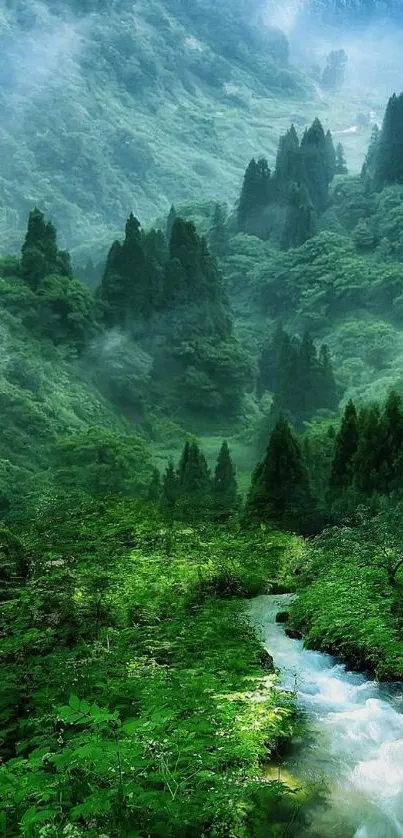 Lush green mountain landscape with misty atmosphere, perfect for mobile wallpaper.