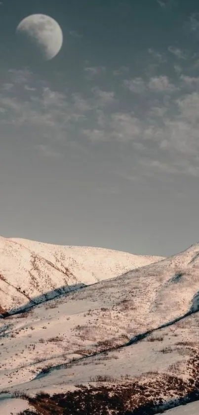 Snowy mountain landscape under a moonlit sky.