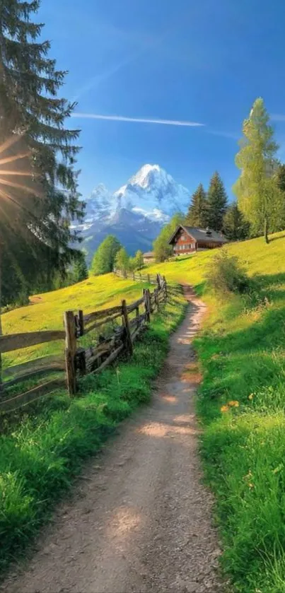 Serene pathway leading to a cabin in a lush mountain landscape.