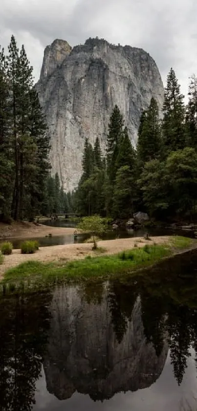 Mountain scene with reflective water and pine trees in a serene landscape.