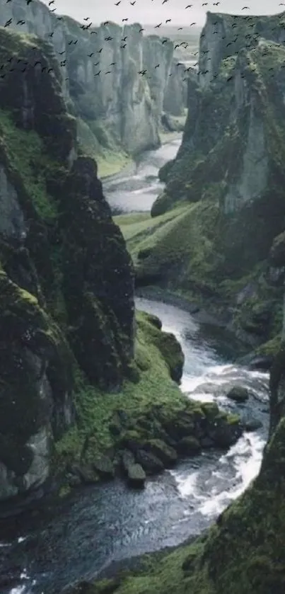 Lush green canyon with a serene river flowing through.