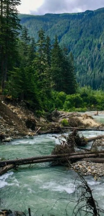 Serene mountain river flowing through lush green forest.