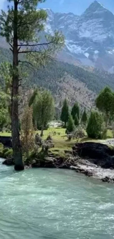 Mountain river flowing through lush greenery with a snowy mountain backdrop.