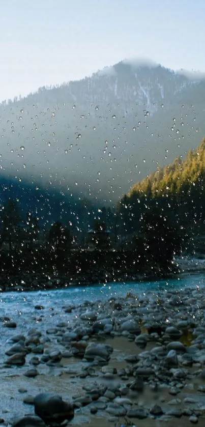 Serene mountain river view with forest and rocky stream.