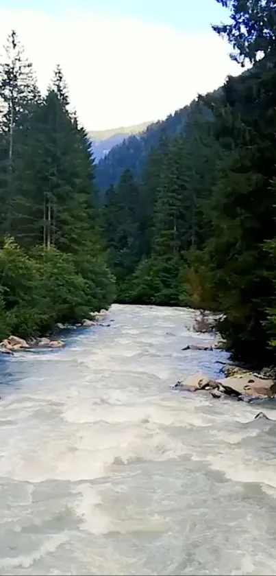 Pristine river flowing through lush green mountain forest.