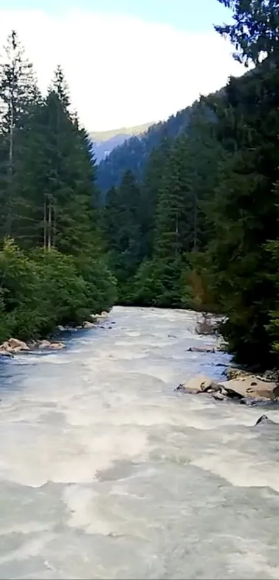 Serene river landscape with lush green forests and mountains.