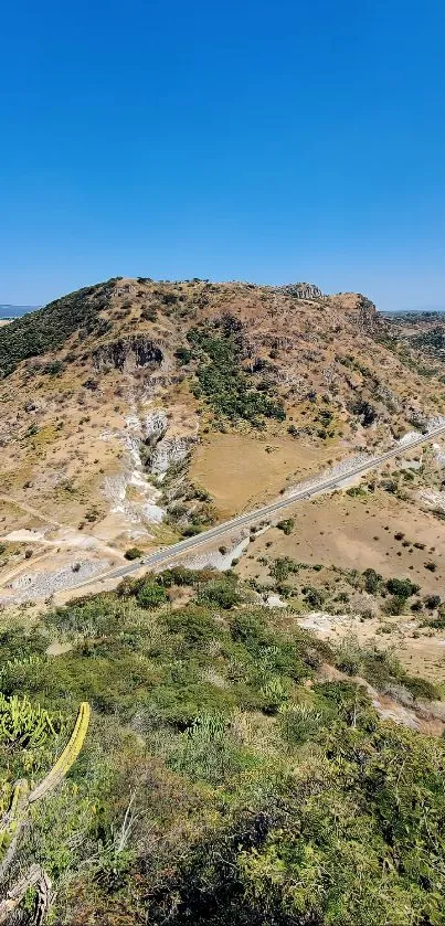 Serene mountain road with cactus in vibrant desert landscape.