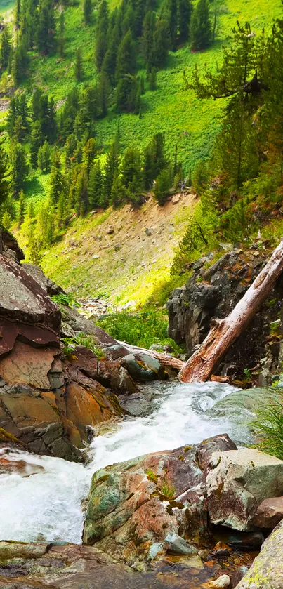 Flowing stream through lush green mountains and rocky landscape.