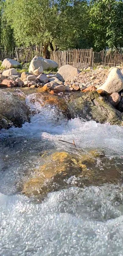 Bubbling mountain stream with rocks and greenery.