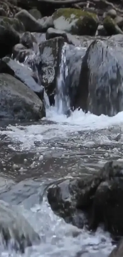 Serene mountain stream with moss-covered rocks and flowing water.