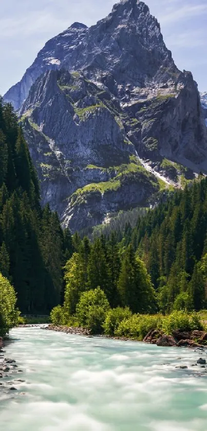 Stunning mountain stream with lush green forest, perfect for nature lovers.