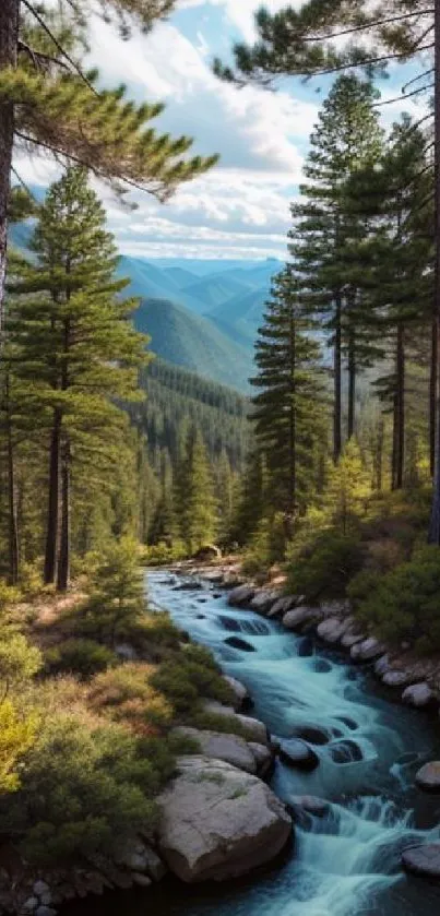 Serene mountain stream flowing through lush forested landscape.