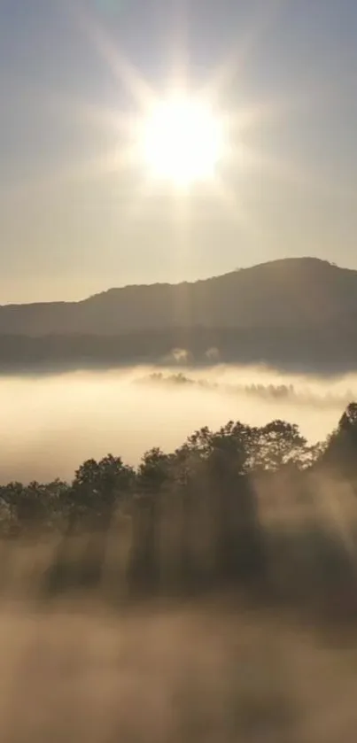 Sunrise over misty mountains with light rays creating a serene landscape.