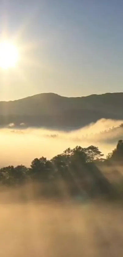 Serene mountain view with sunrise and misty hills, golden light shining through.