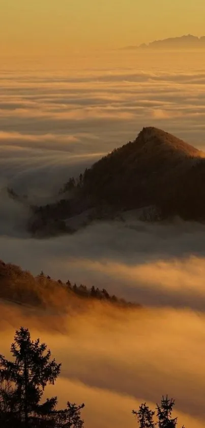 Serene mountain sunrise over clouds, perfect for mobile wallpaper.