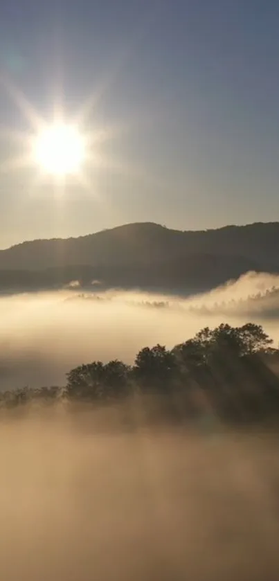 Serene mountain sunrise with misty valleys.