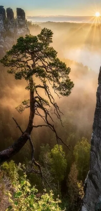 Tranquil mountain sunrise with a silhouetted tree and misty horizon.