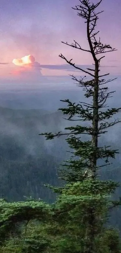 Silhouette of a tree against a violet mountain sunset with misty horizons.