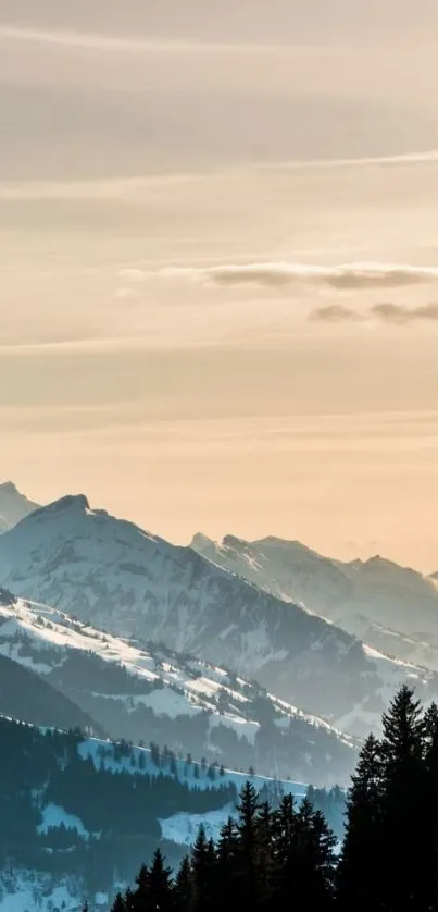 Snow-capped mountains at sunset with pastel orange sky.