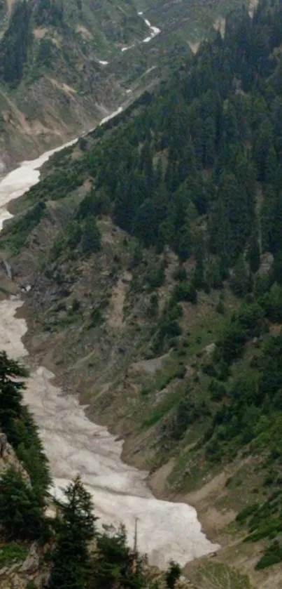 Scenic mountain valley with lush trees and winding snow path.