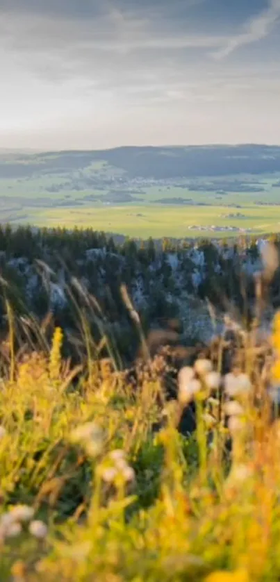 Serene mountain landscape with wildflowers and green fields.