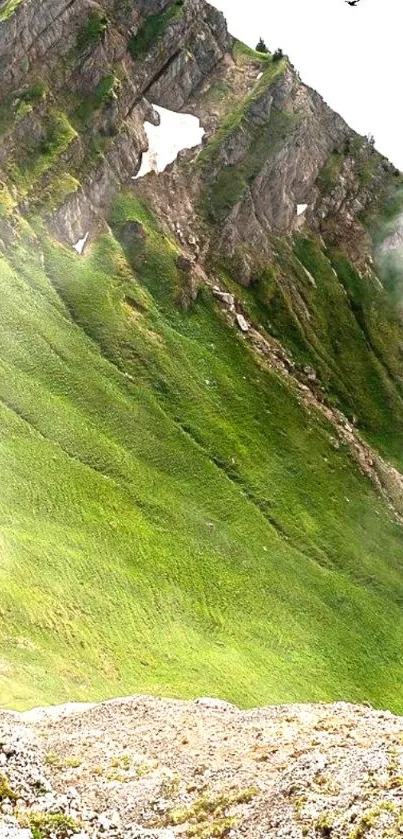 Serene mountain view with birds flying in a clear sky.