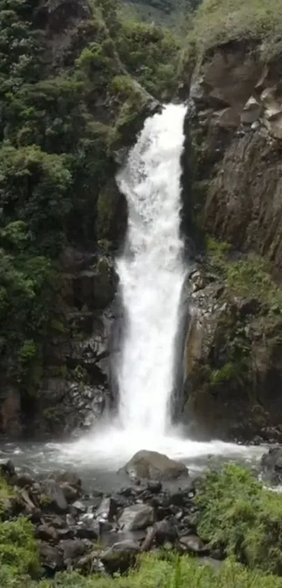 Serene mountain waterfall amidst lush greenery.