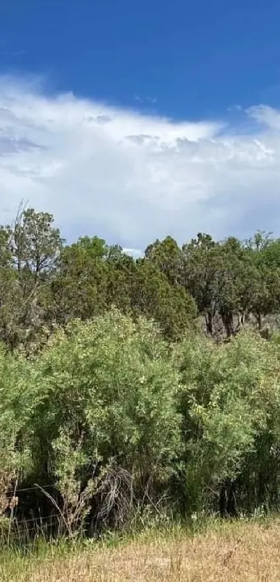 Lush green landscape with trees under a vibrant blue sky on the roadside.