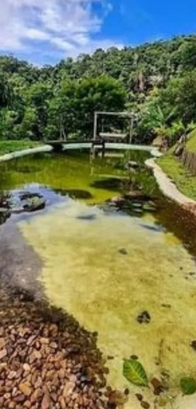 Serene pond with lush greenery under blue sky.