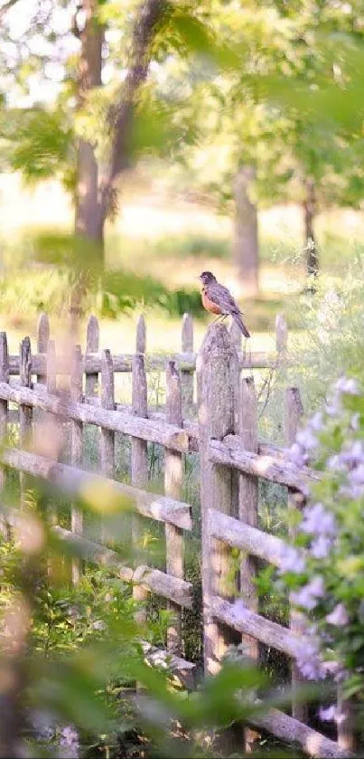 Bird perched on fence in lush garden, serene scene.