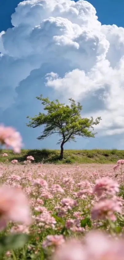 Lone tree in pink floral field under blue sky with clouds.