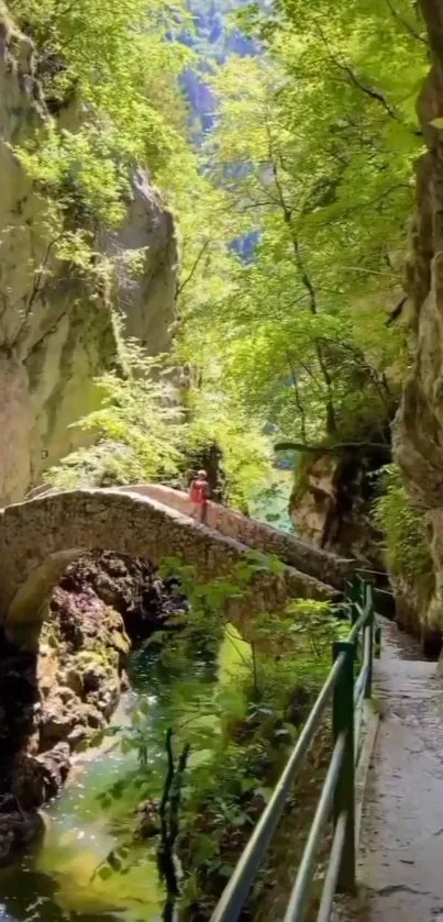 Serene canyon with lush greenery and a historic stone bridge over a stream.