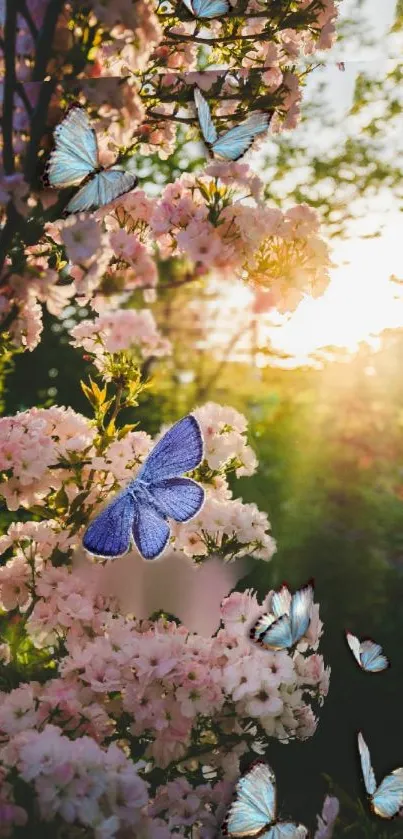 Blue butterflies on pink blossoms in sunlit nature scene.