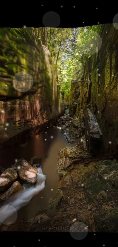 Serene canyon wallpaper with greenery and flowing stream.